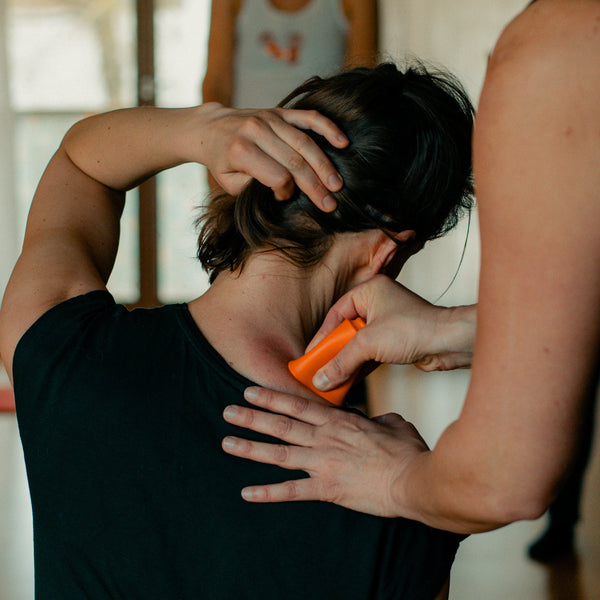 Dzień szkolenia wykładowców 1+2: Bańkowanie - Kompletny przewodnik